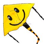 Smiley Face Delta Kite [1.8m]